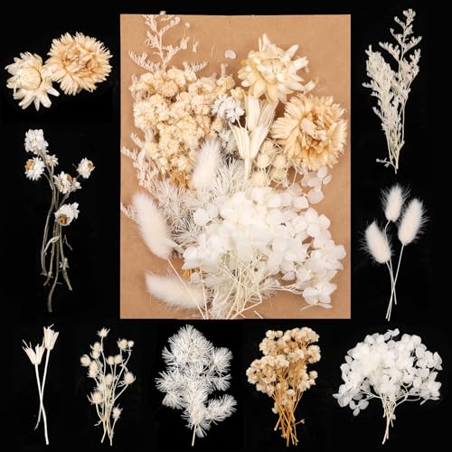Trockenblumen,Natürliche Gemischte Getrocknete Blumen,Trockenblumen Zum Basteln,Trockenblumen Klein für DIY Epoxidharz Scrapbook Zubehör Handwerk Karten Machen (Weiß)