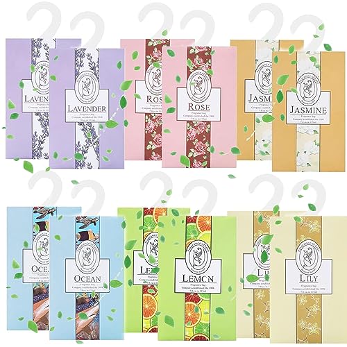 WDEC 12 * 20g Kleiderschrank Aromatherapie Kleiderbügel, Beutel, Für Schubladen, Schränke, Schränke, Badezimmerautos, 10 Stück Lavendel, Jasmin, Lilie, Rose, Ozean，Zitrone