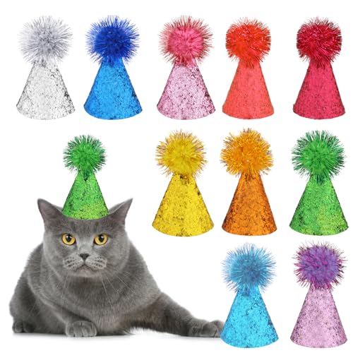 10 Stück Katzen-Geburtstags Mütze, Mini-Party Hüte Bunte Hunde-Geburtstags Mütze Niedlicher Cone-Katzen-Party Hut Hunde Hüte Mit Verstellbare Party Hüte Für Welpen-Kätzchen-Kleintier-Kostüm-Zubehör