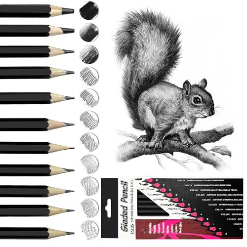 Wonwood_direct Bleistift Set, 12-Teiliges Zeichenstifte, Bleistifte Zeichnen von 2H bis 8B Zeichenset mit Graphitstifte für Künstler, Kinder, Erwachsene, Zeichnungen, Skizzieren Liebhaberin (Typ 2)