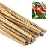 Bambusstäbe Set, 40 cm Pflanzenstütze, 20 Stück Pflanzstäbe Natürliche Gartenstützen für Tomaten, Bohnen, Blumen und Bäume, Rankstäbe für Topfpflanzen und Kletterpflanzen