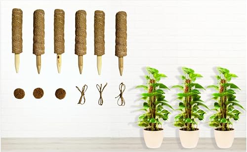 Moosstange für Kletterpflanze, Monstera, Totemstange, Moosstab für Zimmerpflanzen, Zug, Topfpflanze, Aufwärtspflanzenstange mit Gartenbinder / 850