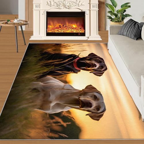 Labrador Retriever-Teppich für Schlafzimmer, 203 x 308 cm, Sonnenuntergang, Landschaftsbereich, Teppiche für Wohnzimmer, Tiere, Hunde, Küche, rutschfest, waschbar, Land, Natur, schmutzabweisend,