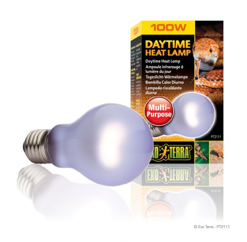 Exo Terra Daytime Heat Lamp, Breitspektrum Tageslichtlampe, A19, 100W, Fassung E27, Metallisch