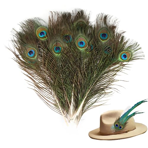 20 Stück Natürliche Pfauenfeder 25-30CM Schöne Augen Federn für Hüte DIY Craft Handwerk Kopf Dekorationen Pfau Deko