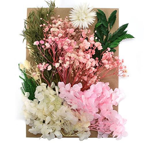 通用 Natürliche Getrocknete Blumen, Trockenblumen Set, Echte Getrocknete Gepresste Blumen und Blätter, DIY Natürliche Getrocknet Blumen Set für Kunst Basteln Dekoration (Gelb und Rosa)