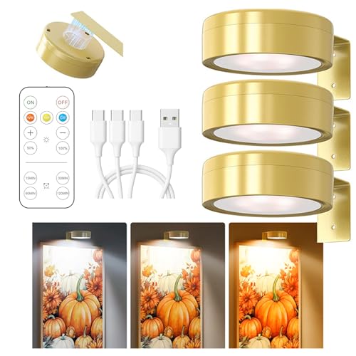 3 Stück Bildbeleuchtung Kabellos, Aufladbar Bilderleuchte Kabellos mit Fernbedienung, Bild Licht mit 3 Lichtfarben, Dimmbar, Magnetisches LED Malerei Licht für Bilderrahmen, Wand, Regal, Bilder