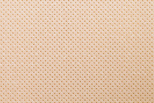 Thermoplastisches Schienenmaterial | Turbocast® | Micro perforiert (Dicke: 1,6 mm, beige)