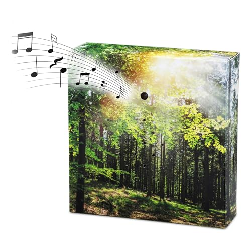 Vogelgezwitscher Soundbox mit Waldgeräuschen - 12 cm - Lautsprecher mit Vogelgesang und Waldkulisse - Deko Box mit Naturgeräuschen Vogel Sound mit Bewegungs Sensor für Bad Spa Gäste WC und Entspannung
