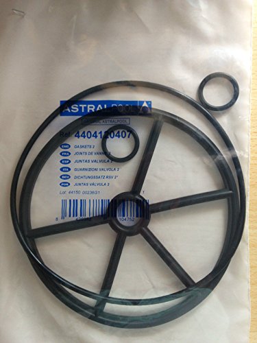 Astral Dichtung Stern Ventil Sandfilter 4404120407
