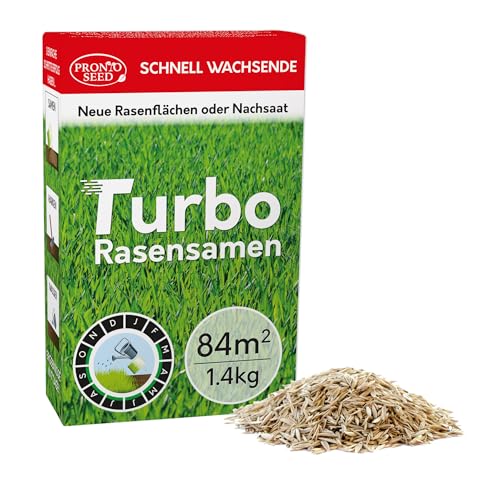 Pronto Seed Rasensamen – 1,4 kg Premium-Qualität, 84 m2 Abdeckung für Nachsaat – schnell wachsende und strapazierfähige Grassamen – auf DE-Klima zugeschnitten – Defra-zugelassen