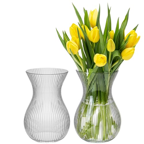KONZEPT Blumenvase Glas 18 cm Hoch, ⌀ 11 cm, Set 2 STK. Vase für Tulpen Durchsichtig, Spülmaschinenfest - Kleine Vase für Tischdeko bei Hochzeiten & Partys