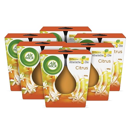 Air Wick Wohlfühl-Duftkerze im Glas – Duft: Citrus – Enthält natürliche ätherische Öle – 6 x 105 g Duftkerzenset
