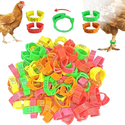 100 Stück Geflügel Beinringe – AQUILORA Mehrfarbige Clip-On Identifikationsringe für Hühner, Enten, Gänse, Tauben und Kleingeflügel