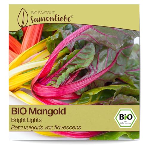 Samenliebe BIO Mangold Samen Bright Lights Rainbow Stielmangold bunt gelb 70 Samen samenfestes Gemüse Saatgut für Gewächshaus Freiland und Balkon BIO Gemüsesamen