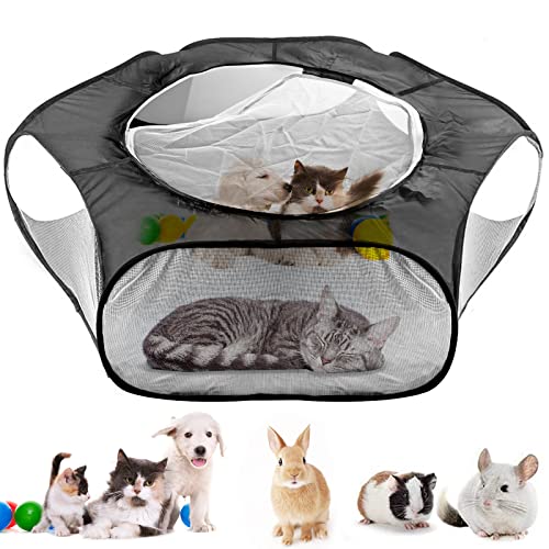 Haustierlauf,Kleintier Laufstall,Welpenauslauf Faltbar,Tragbarer Welpenlaufstall,Größe M: 52 x 52 x 38cm, Leicht und Robust – Laufstall für Meerschweinchen, Kaninchen,Hamster und Igel