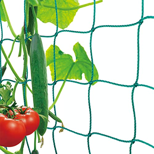 Premium Ranknetz mit großer Maschenweite für den perfekten Wachstum von Tomaten, Gurken und Kletterpflanzen Das Optimale Rankhilfe Netz für Garten und Gewächshaus - Maschnweite (10cm), Größe: 5 x 2m