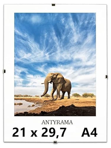 Cliprahmen Bilderrahmen Plakatrahmen im Paket Rahmenlos - Farblos Plexiglas Wechselrahmen für Fotos Poster viele Größen Rechteckig mit Clips gut für Wohnzimmer, Esszimmer, Küche (A4 21x29.7cm)