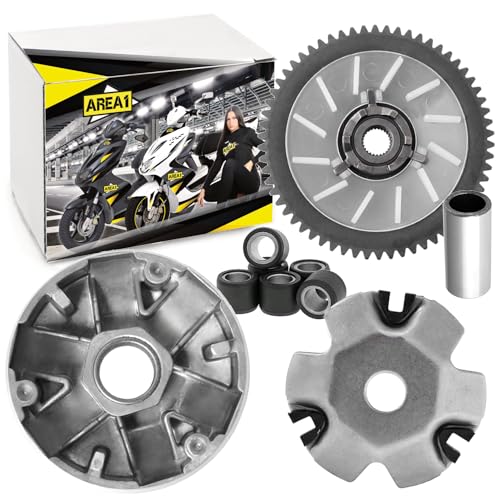 Area1 Ersatz Variomatik für 50ccm China 4-Takt Motorroller (139QMB/QMA) Kompatibel mit Baotian BT49QT Rex RS AGM-Motors Nova Motors Benzhou ATU Explorer Flech Tech Yiying Wangye Zhej Alpha Motors