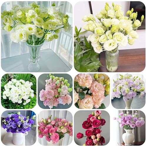 dornenlose rose eustoma lisanthus samen sommerblumen samen duftend, lysianthus samen schnittblumen samen blumen samen hochzeitsstrauß, bienenfreundliche blumensamen, 1000pcs