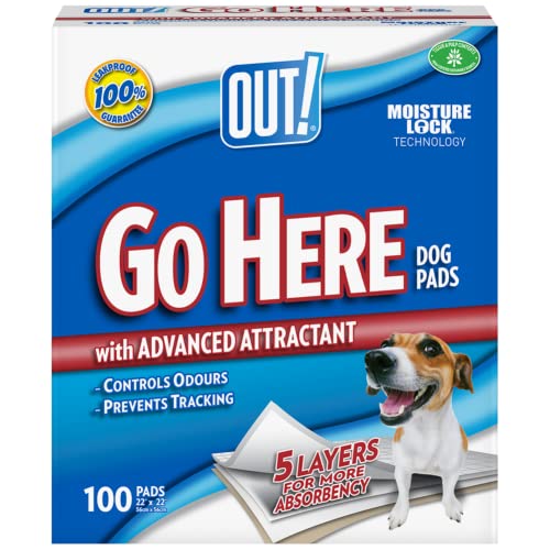 OUT Go Here Ultra saugfähige Training Pads - 100 Stück