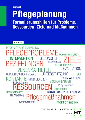 Pflegeplanung: Formulierungshilfen für Probleme, Ressourcen, Ziele und Maßnahmen