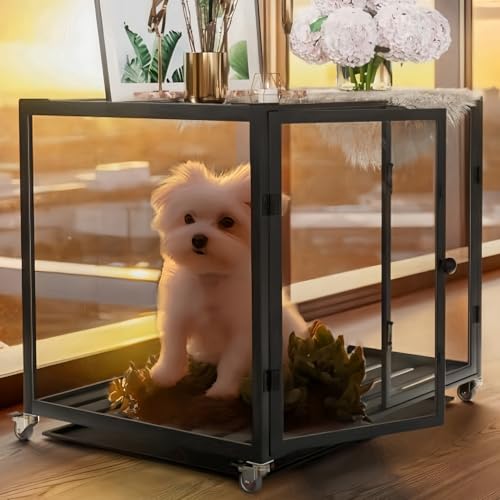 BingoPaw Hundekäfig Möbel Hundebox Indoor: Hundeboxen im Möbelstil aus Aluminium und gehärtetem Glas, Modern Hundehaus für kleine Hunde bis 50kg, M: 76x58.5x66.5 cm, schwarz
