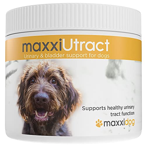 maxxipaws | maxxidog – maxxiUtract Preiselbeere Harn- & Blasen-Nahrungsergänzungsmittel für Hunde | Pulver 150g