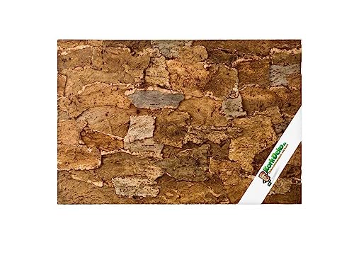 XL Korkrückwand Desert (Rückwand Terrarium) | 3D Kork-Rückwand 60 x 30 cm | gereinigt & desinfiziert