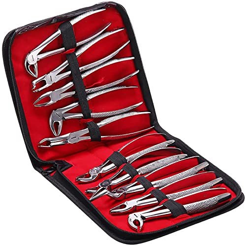 HDGRNCC Zahnextraktions-Set, 10 Stück/Set Zahnchirurgie Extraktionszangen Elevatoren Set Kit Für Medizinstudenten Und Veterinär