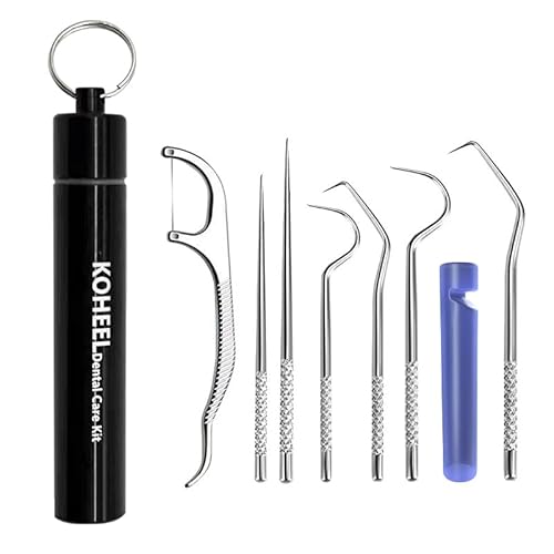 KOHEEL Zahnstocher Taschen-Set, wiederverwendbare Zahnseide Picks Kit, Edelstahl Zahnreinigung Werkzeuge, Zahnstocher, Mundhygiene-Set mit Halter für Picknick, Camping, Reisen