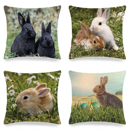 Kissenbezug 35x35 cm Dekokissen Outdoor Kissen, Schwarz Weich Quadratisch Kissenbezüge, Wasserdichte Kissenhüllen Tier Kaninchen Sofakissen für Garten Terrasse Draussen Zuhause Büro Auto 4er Set R-48