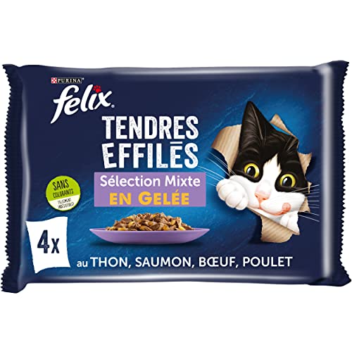 FELIX Zarte Gelee | ausgewachsene Katze | Auswahl an Huhn, Rind, Thunfisch, Lachs | 4 x 85 g | Frischebeutel
