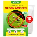 SONTIS® Aktive SF-Nematoden gegen Ameisen – 10 Mio. für 20m² - Effektive Ameisenbekämpfung mit Nestwirkung – Umweltfreundlich, chemiefrei, einfache Anwendung