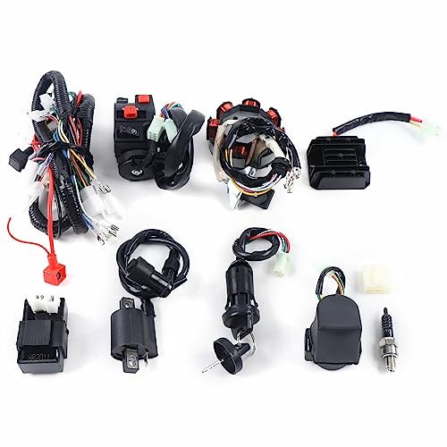 Komplette Elektro Kabel Kabelbaum Gleichrichter CDI Motor Start Kabelbaum Bausatz Zündkerze Quad Dirt Bike Dune Buggy Gleichrichter Zündanlage Elektrik-Statorspule für ATV QUAD 150-250 300CC