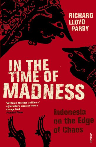 In The Time Of Madness (English Edition)