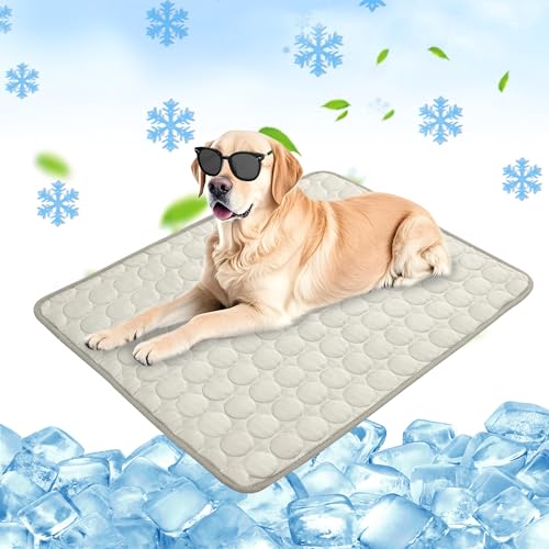 Chumix Kühlmatte für Hunde 70x100cm, Selbstkühlende Kühldecke Hund für Katzen und Hunde, Leicht zu Reinigen, Gel-Freie Kühlmatte Hund, Perfekt für Auto, Reise und Zuhause
