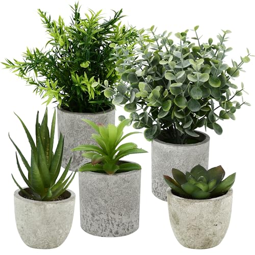 ZHYLUO 5 Stück Kunstpflanze, Mini Künstliche Pflanzen Schlangenzunge, Agave Sukkulente, Eagle Claw Aloe, Künstliche Pflanzen für Schlafzimmer Büro Dekoration