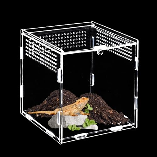 Acryl Terrarium(15cm*15cm*15cm),Mini Terrarium,Springspinne Terrarium,Terrarium Schnecken,Reptilien Fütterungsbox Geeignet für Spinne,Eidechsen,Schnecken,Käfer