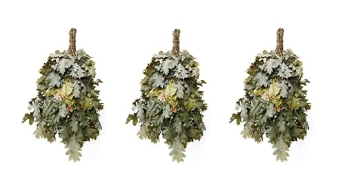Dufte Momente 3 x Sauna Eichen Reisig - jeder Reisig einzeln verpackt luftgetrocknet ca. 190g Eichenreisig – Länge ca. 50-60cm (3)