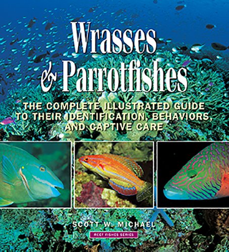 Wrasses & Parrotfishes (Reef Fishes, Band 5)
