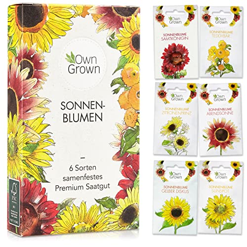 Sonnenblumen Samen Set - Sonnenblumen Saatgut mit 6 Sorten - Blumen Geschenk Set mit Riesen Sonnenblumen Samen und Sonnenblumen Samen klein - Blumensamen Sonnenblumen - Saatgut Blumen von OwnGrown