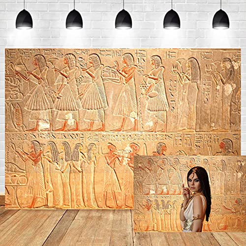 OERJU Fotohintergrund, 3 x 2,1 m, alte Ägypten Hieroglyphen, Schnitzerei, Wandkunst, Symbol, Archäologie, ägyptische Hieroglyphe, Steinskulptur, Hintergrund, Reisetour, Fotostudio, Requisiten,