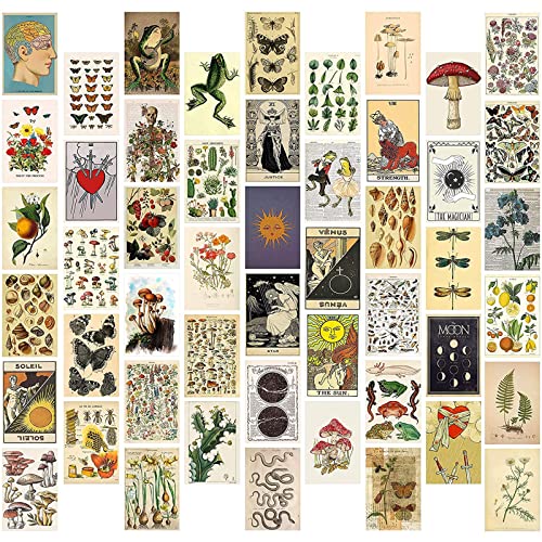 WAIZHIUA 50 Stück Vintage Botanical Wall Collage Kit - Aesthetic Wandcollagen Set Indie Room Décor - Bilder Wand Collage Druck Kit - Fotowand Collage für VSCO Poster Mädchen und Jungen Teens